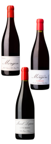Produktfoto: Lapierre „Lapierre-Morgon-Tasting“, rouge 2025