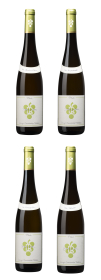 Produktfoto: Rebholz „Terroir-Erforscher“-Paket (4 Flaschen) 2025