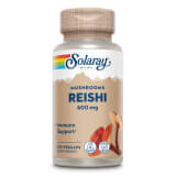 Reishi Mushroom