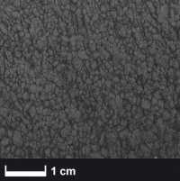 Kohlefaser gemahlen 0,2 mm