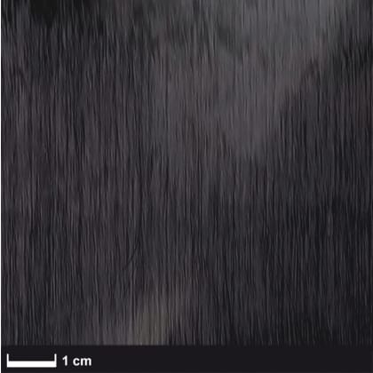 Kohlegelege ST 100 g/m² (UD) 50 cm