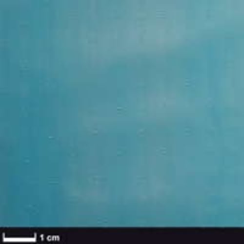 Bagging film BLUE perforated (P3) 25 my, 100 cm