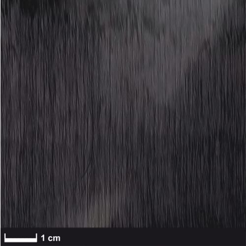 Carbon non-crimp fabric ST 80 g/m² (UD) 50 cm
