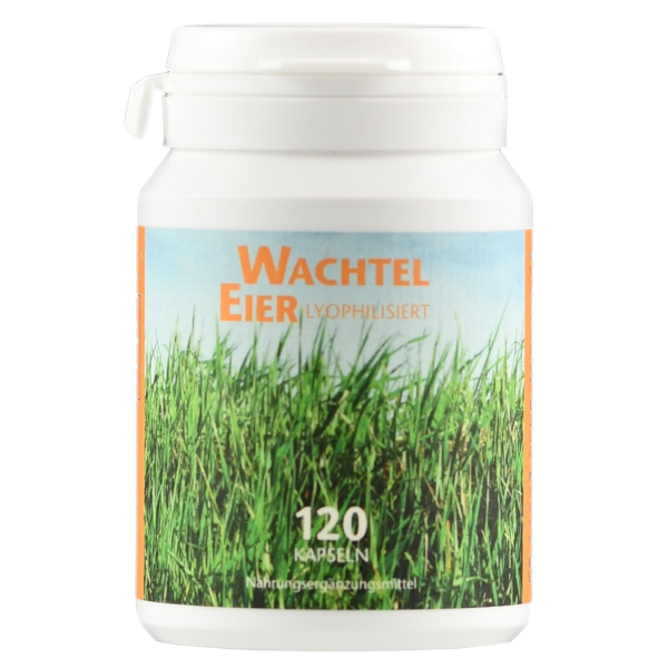 Produktfoto: Ein weißes Plastikgefäß mit einem Etikett, das “Wachtel Eier Lyophilisiert“ in orangefarbener Schrift zeigt. Darunter ist ein Bild von grünem Gras. Auf dem Etikett steht auch “120 Kapseln“ und “Nahrungsergänzungsmittel“. Das Gefäß hat einen weißen, verschließbaren Deckel.