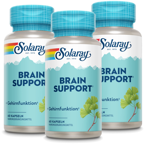 Produktfoto: Drei Flaschen des Nahrungsergänzungsmittels 'Solaray Brain Support' sind zu sehen. Die Flaschen sind hellblau mit einem blauen Deckel und zeigen das Solaray-Logo. Jede Flasche enthält 60 Kapseln zur Unterstützung der Gehirnfunktion. Auf dem Etikett sind auch Ginkgo-Blätter abgebildet.