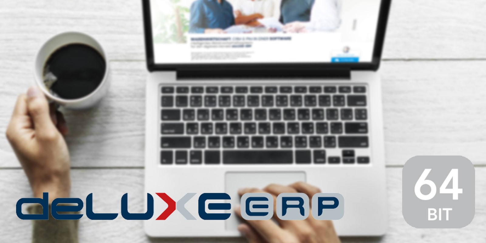 deLUXE-ERP V17 - einfach effizienter Arbeiten 5