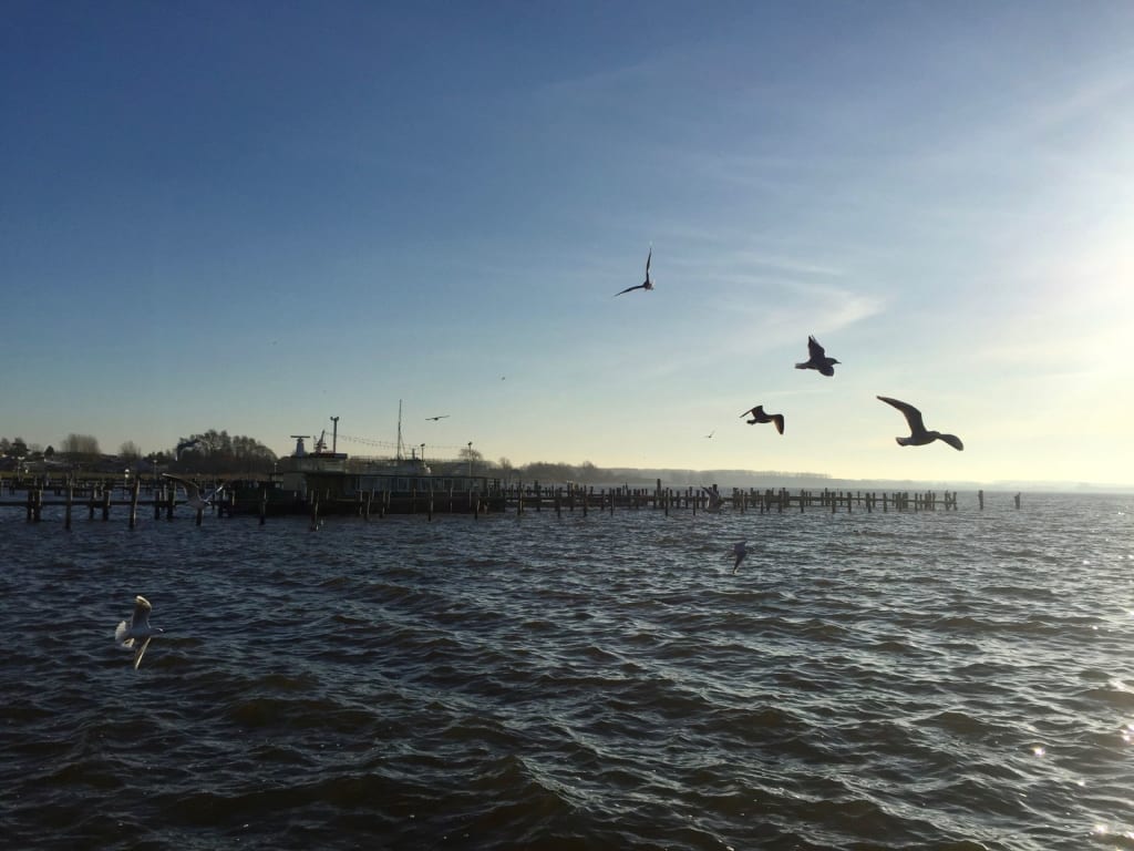 Ferien in Rerik am Salzhaff