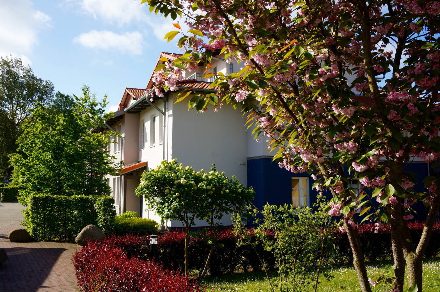 Blüten vor der Residenz Leuchtturm in Rerik