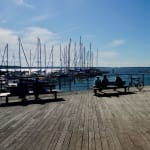 Neue Sitzgelegenheiten am Hafen in Rerik