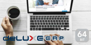 deLUXE-ERP V17 - einfach effizienter Arbeiten 1