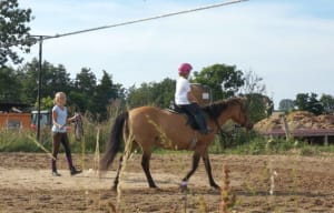 Reiten auf dem Reithof Never an der Ostsee