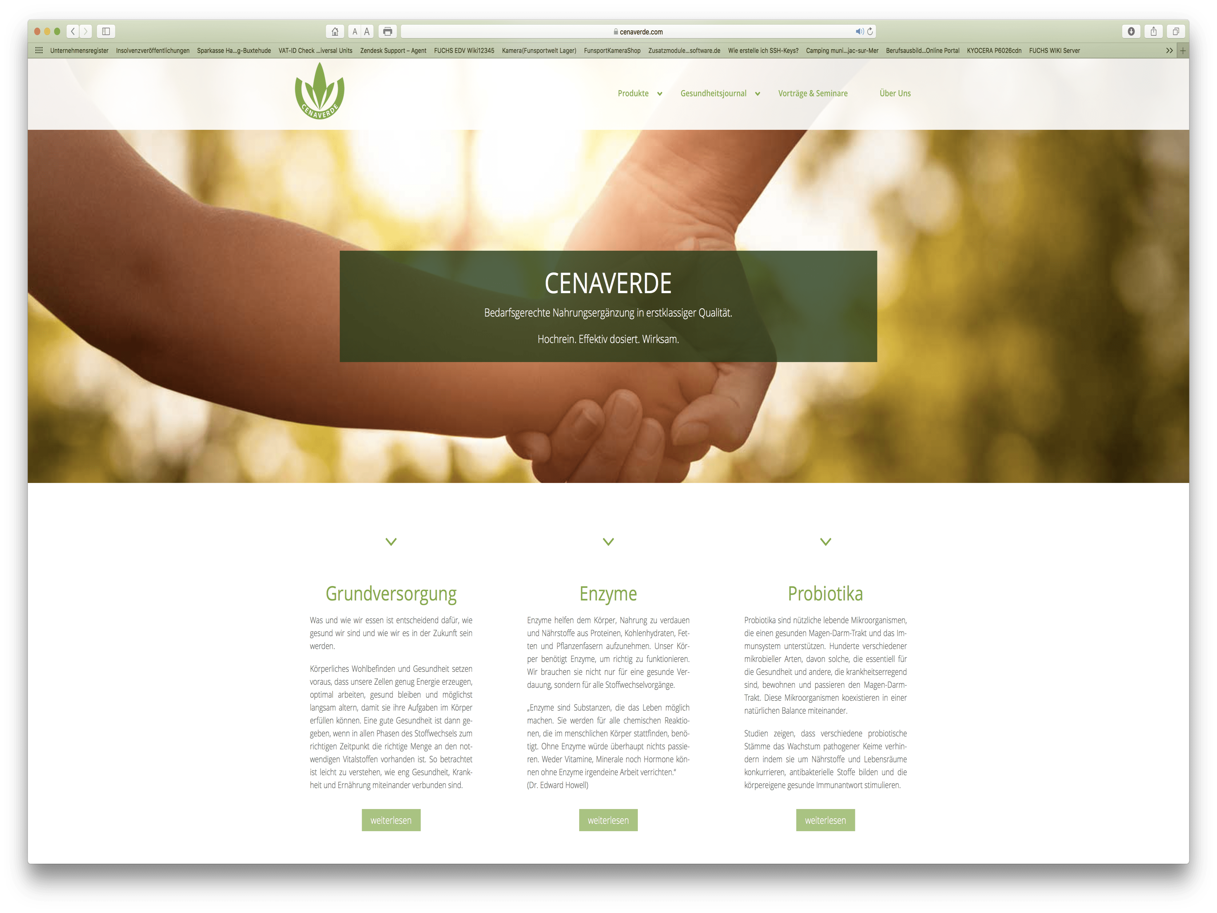Cenaverde012019 7