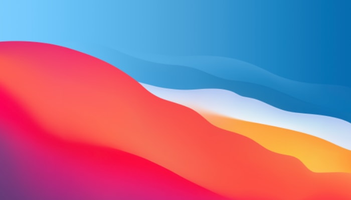 deLUXE-ERP und macOS 11 "Big Sur" 1